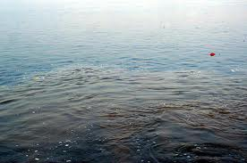 Information about kaleshwaram goddess saraswati river pushkaralu, saraswati river pushkaralu in   kaleswari karimnagar, saraswathi pushkar yatra sree kaleshwaram.